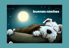 buenas noches perrito.jpg